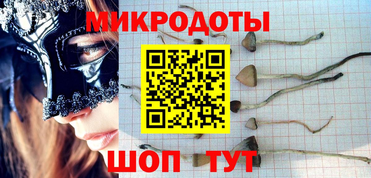 Галлюциногенные грибы мухоморы Нарьян-Мар