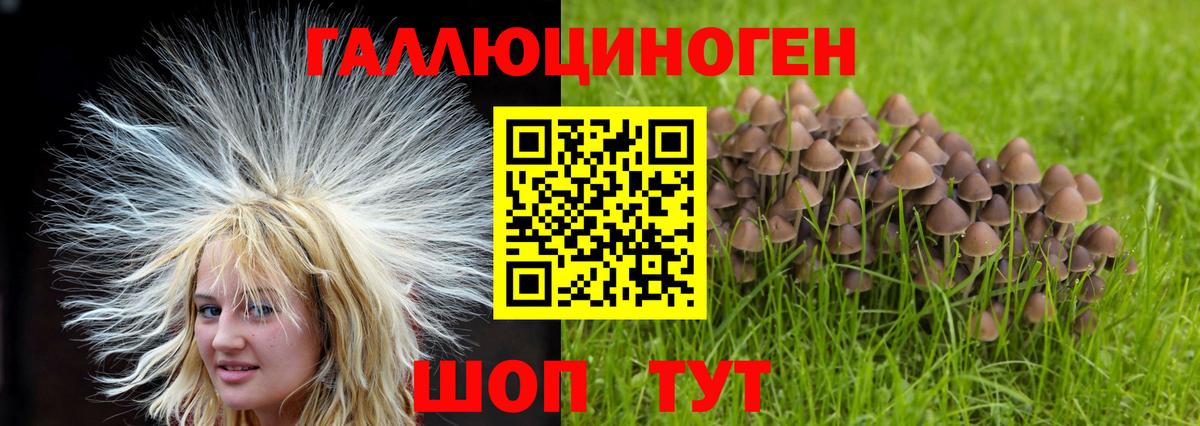 Нарьян-Мар  Галлюциногенные грибы Psilocybe  Вход с VPN  Галлюциногенные грибы Psilocybe 